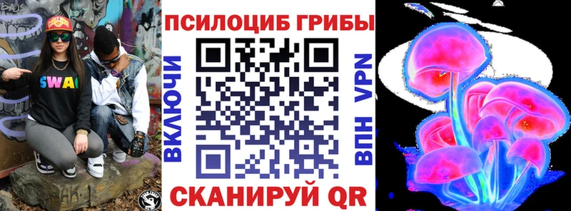OMG зеркало  Дмитриев  Галлюциногенные грибы Cubensis  где можно купить наркотик 